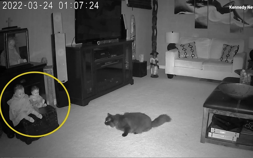 Camera an ninh: Chú mèo giật mình trước “bóng mờ” lạ xuất hiện cạnh búp bê